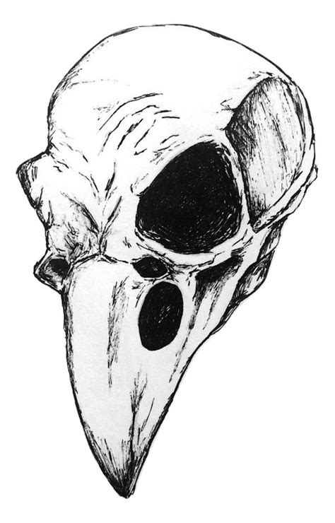 Raven skull Art Print by MarikeTao | Skull art print, Skull art, Skulls drawing