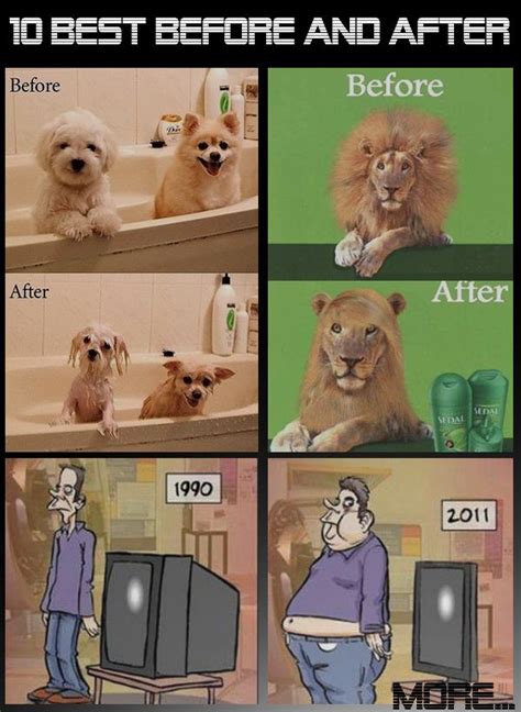 Hilarious Before And After Photos | Hilarious, Funny, All jokes