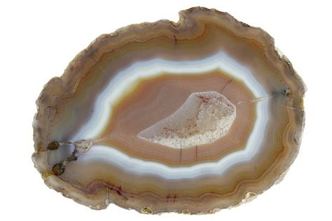 5.6" Polished Laguna Agate Slab - Mexico For Sale (#180595) - FossilEra.com