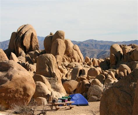 Desert Camping: Important tips and tricks | ActionHub