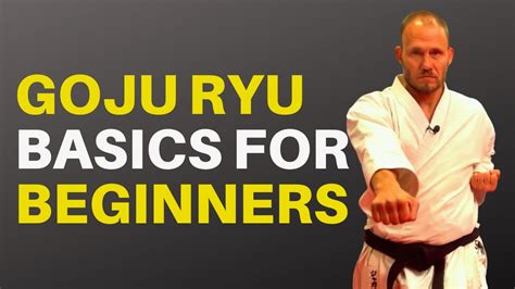 Goju Ryu Basics for Beginners: Blocks, Punches and Stances - YouTube