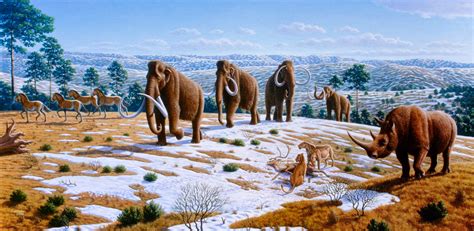 File:Ice age fauna of northern Spain - Mauricio Antón.jpg - Wikimedia ...