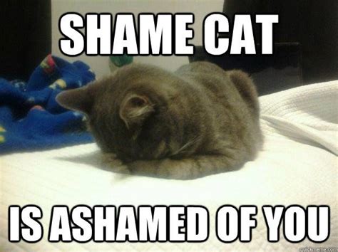 Image result for shame on you meme | Shame meme, Memes, Shame