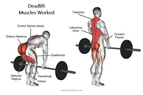 Rack Pull vs Deadlift: Difference, Benefits, And When To Use Each