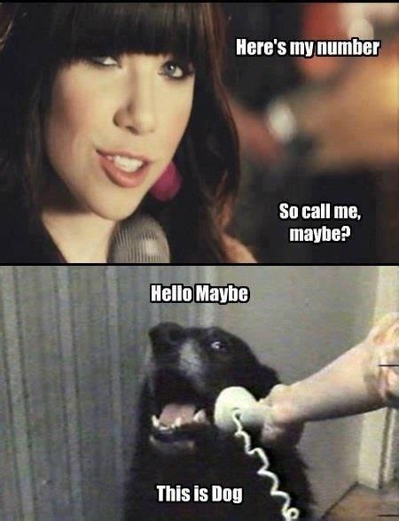 Best Of The "Call Me Maybe" Meme | Call me maybe, Maybe meme, I laughed