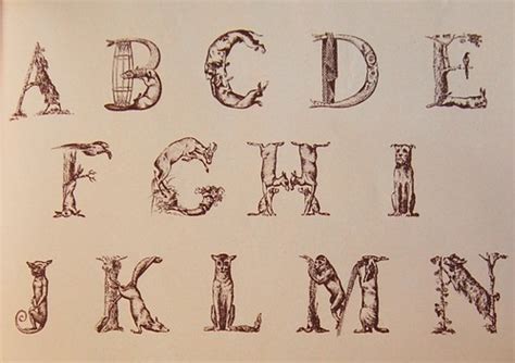 Animal Alphabet | Detail from a 19th- century French alphabe… | Flickr