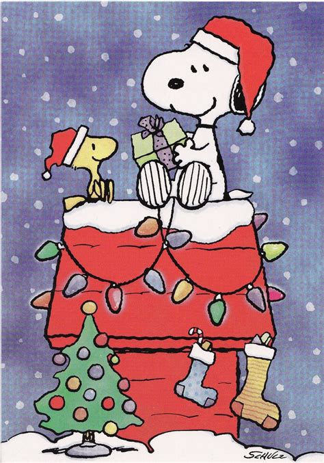 Pin by Mercedes Rimbau Obis on Peanuts | Snoopy christmas, Snoopy ...