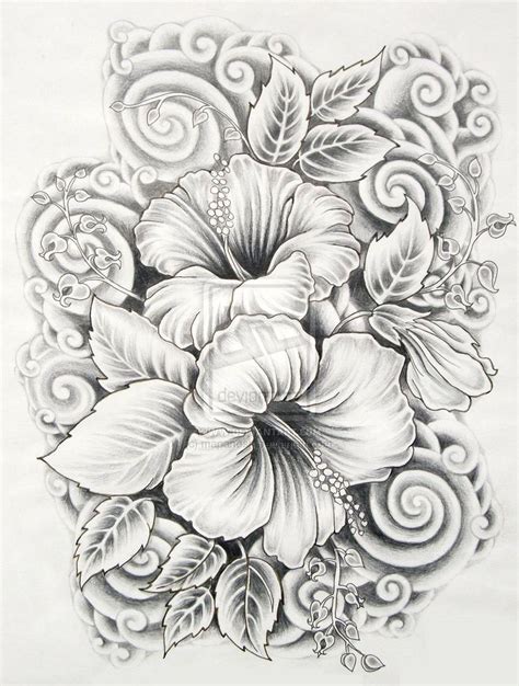 Free Hibiscus Drawing, Download Free Hibiscus Drawing png images, Free ...