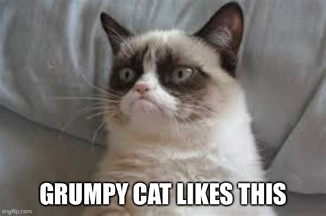 Grumpy Cat Approves - Imgflip