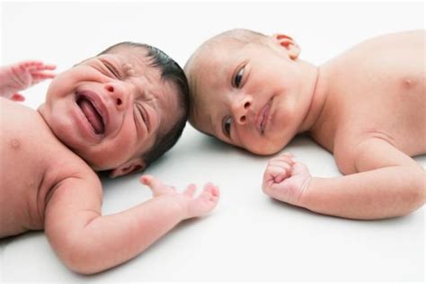 Heteropaternal Superfecundation Are Twins With Different Fathers | Types of twins, Twins ...