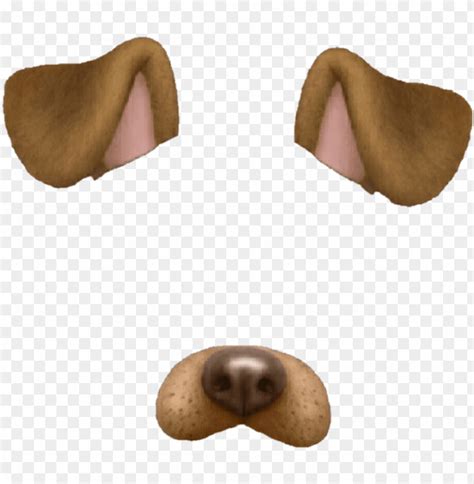 Free download | HD PNG snapchat tumblr overlay dog perro brown marrón ...