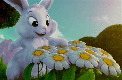 Easter Bunny & Daisies Pictures, Photos, and Images for Facebook, Tumblr, Pinterest, and Twitter