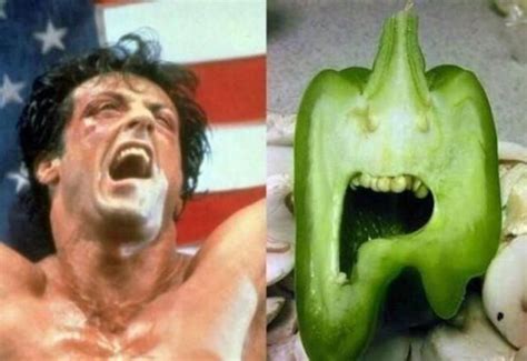 Yo Adrian, I did it! A bell pepper that very much resembles Rocky ...