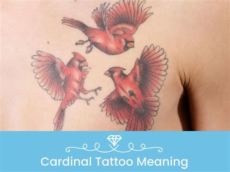 What is Cardinal Tattoo Meaning? (2024 guide)