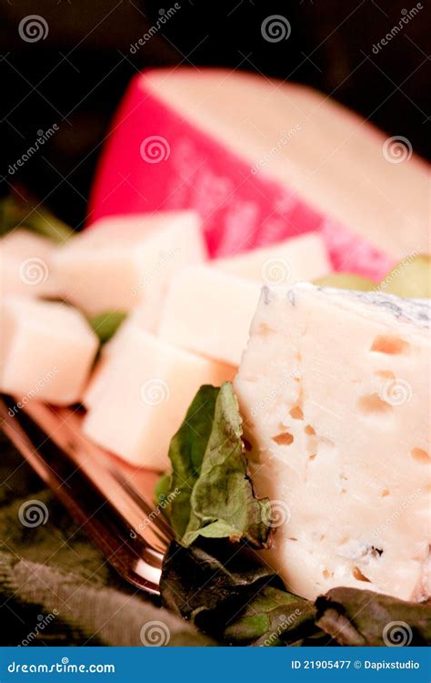 Specialty cheese stock image. Image of natural, greek - 21905477