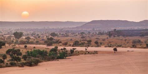 MALI: Green Koula initiative for reforestation and fight against ...