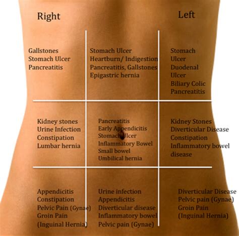 The 23+ Hidden Facts of Organ Pain In Left Side Of Back! All of these can be responsible for ...