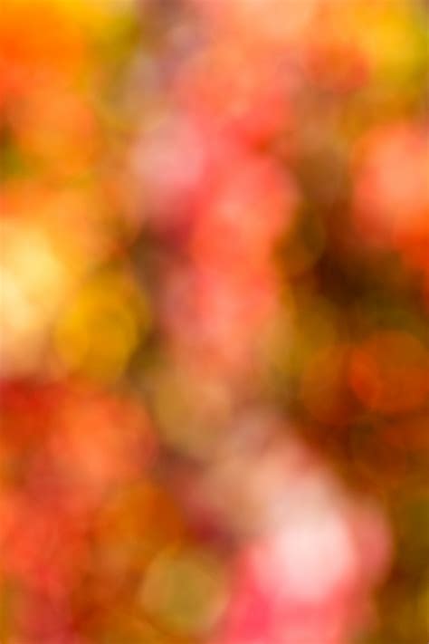 Autumn Colors Background Free Stock Photo - Public Domain Pictures
