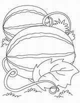 Watermelon Coloring Pages  Best For Kids sketch template
