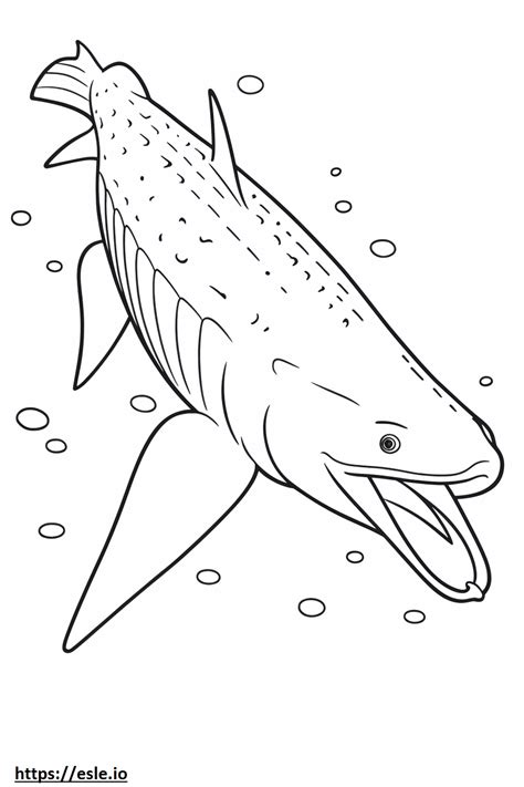 Whale Shark cute coloring page
