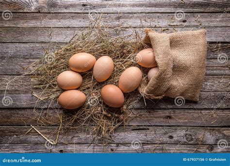 Brown hen's eggs stock photo. Image of sack, rustic, straw - 67937156