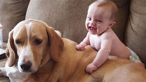 Funny Baby 😃 Best Funny babies and Dogs Videos Compilations || Funny ...