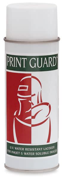 Print Guard Spray | BLICK Art Materials