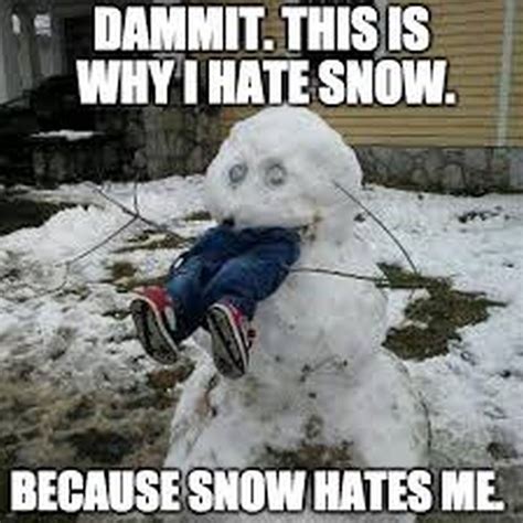 55 Funny Winter Memes That Are Relatable If You Live in the North