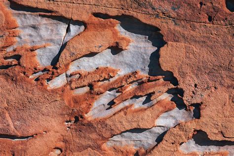 Sandstone Rock Photograph by Zandria Muench Beraldo - Fine Art America