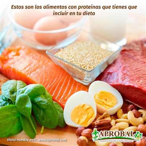 ESTOS SON LOS ALIMENTOS CON PROTEÍNAS QUE TIENES QUE INCLUIR EN TU DIETA - Aprobal