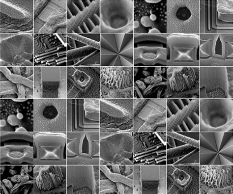 Scanning Electron Microscopy Services