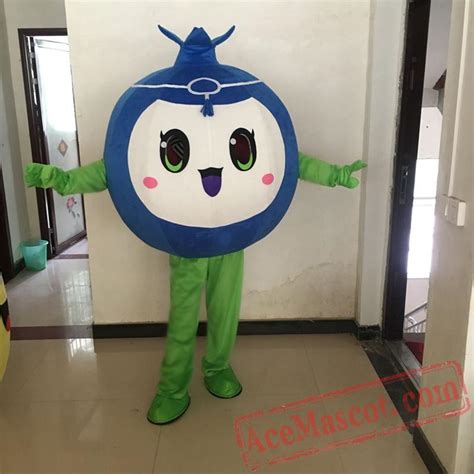 Blueberry Mascot Fruit Costume Suit