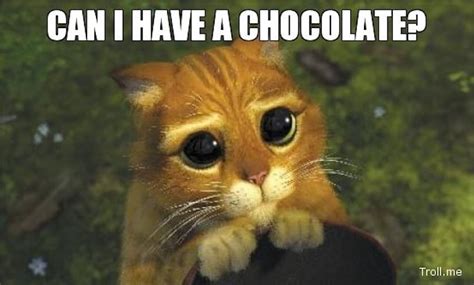 12 Memes About Chocolate In Honor Of National Chocolate Day That Are Absolutely Mouth-Watering