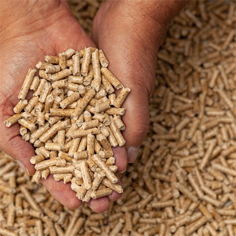 Biomass pellets in Germany, Biomass pellets Manufacturers & Suppliers in Germany