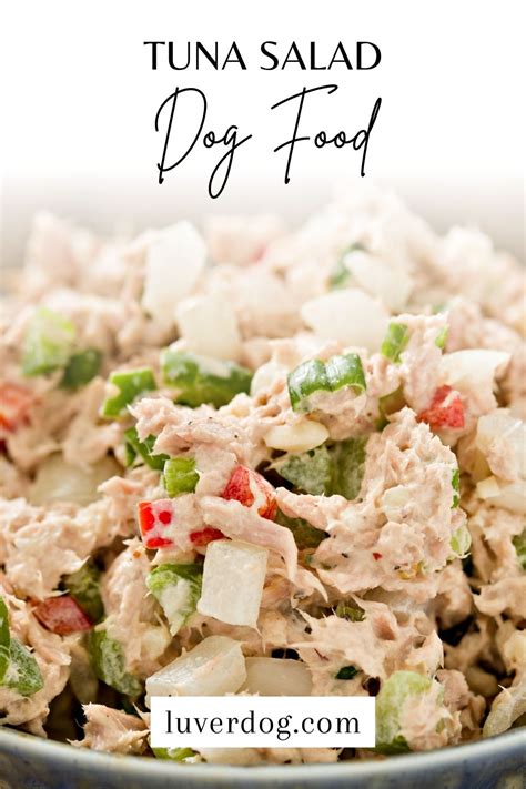 Top 5 Homemade Dog Food With Tuna