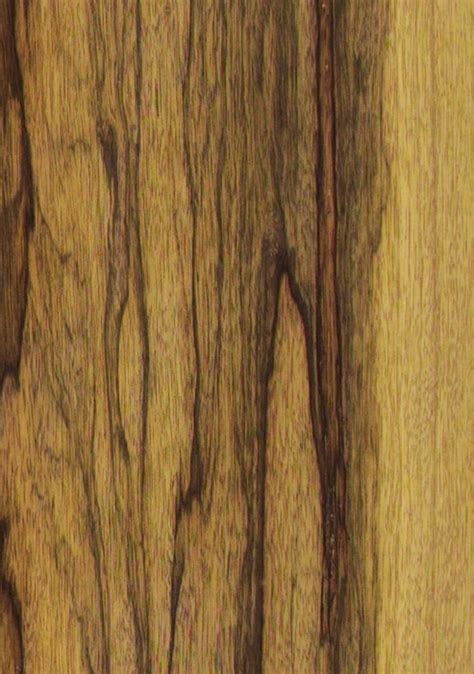 Limba black Furnier : Schorn & Groh Furniere - Veneers