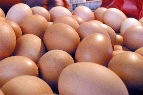 Salmonella Fears Prompt Egg Recall | NBC Bay Area