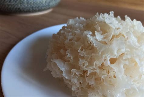 Everything You Need to Know About Tremella Mushrooms | GroCycle