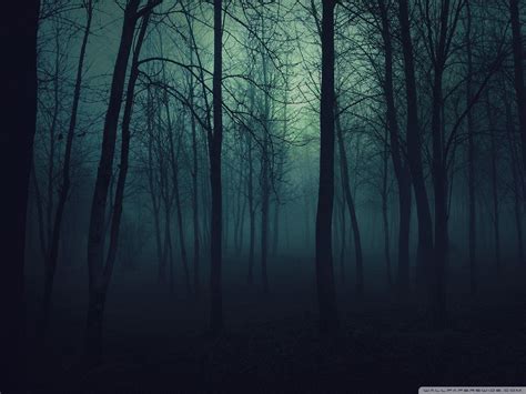 Dark Forest 4K Ultra HD Wallpapers - Top Free Dark Forest 4K Ultra HD ...