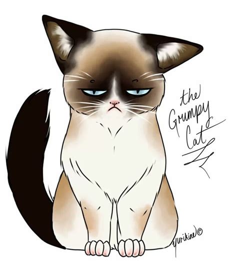 grumpy cat illustration | Cartoon cat drawing, Cartoon drawings, Cat drawing