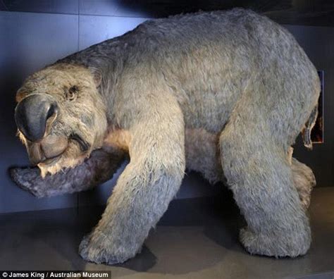 1001Archives: Giant Wombat Fossils found in Australia