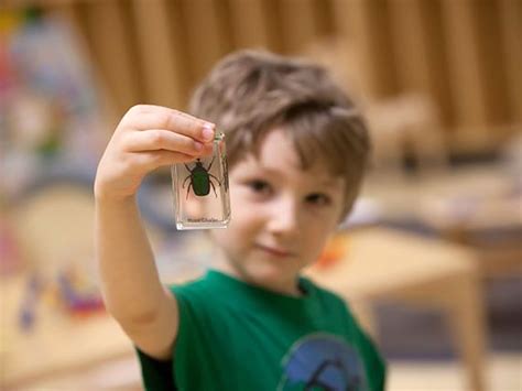 Bright Horizons | Learning at Home: Bug Hunt Activity | Bright Horizons®