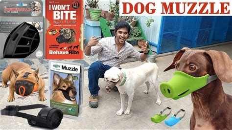 Best Dog Muzzle For Controlling Aggressive Dogs - Mask For Dogs - YouTube