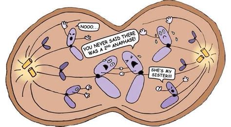 Biology humor lol | Chistes de biología, Dibujos animados de ciencia ...