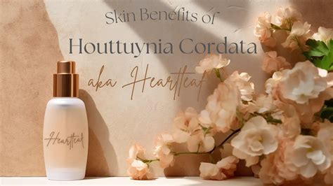 Houttuynia Cordata Skin Benefits - Is Heartleaf Korea's Newest Darling ...