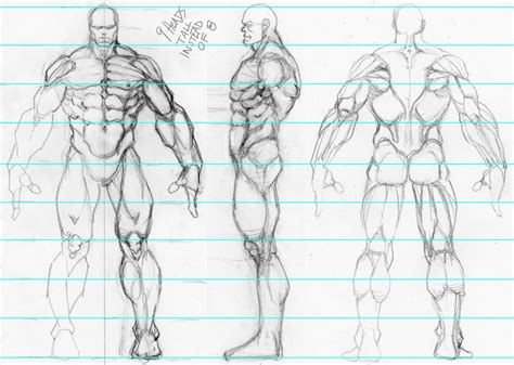 Male Model Sheet | Proporções humanas, Modelagem de personagens, Exercícios de desenho