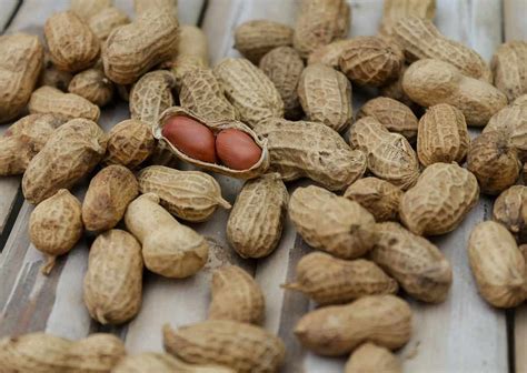 Peanuts: A Tropical Staple and Nutrient-Rich Delight