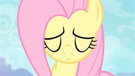 Image - Fluttershy about to do the Stare S4E07.png | My Little Pony ...