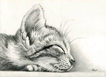 sleeping Kitten by art-it-art on DeviantArt