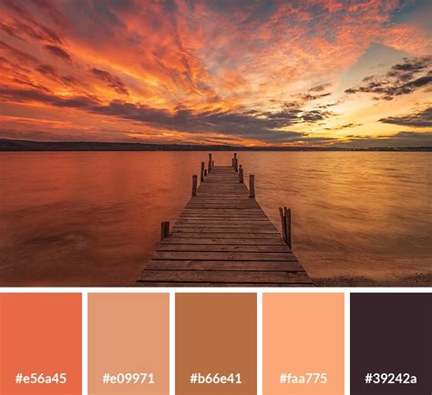 17 Sunset Color Palettes (with Hex Codes) - Vandelay Design